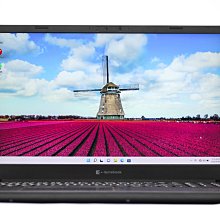 【高雄青蘋果3C】DYNABOOK EX50L-J I5-1135G7 16G 512G SSD 二手筆電#74274