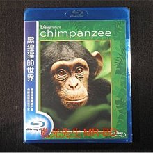 [藍光BD] - 黑猩猩的世界 Chimpanzee ( 得利公司貨 ) - 迪士尼自然系列紀錄片