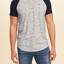 HCO 現貨 Hollister  海鷗 修身 短袖 短T 牛角袖