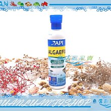 【魚店亂亂賣】API魚博士藻類清除劑237ml除藻劑(青苔.絲藻.黑毛藻)D165美國ALGAEFIX