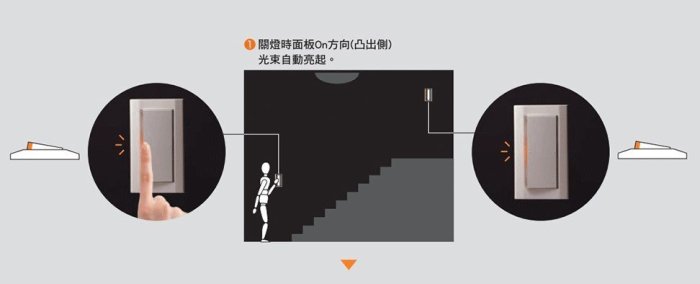 含稅》Panasonic 國際牌 星光系列 大面板 開關插座 WTDFP4308 單開關+接地單插座 附星光蓋板