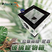 微笑的魚水族☆PETPETZONE【爬蟲箱(寵物缸) 20x20x20cm】全玻璃+透氣網 多功能玻璃寵物缸