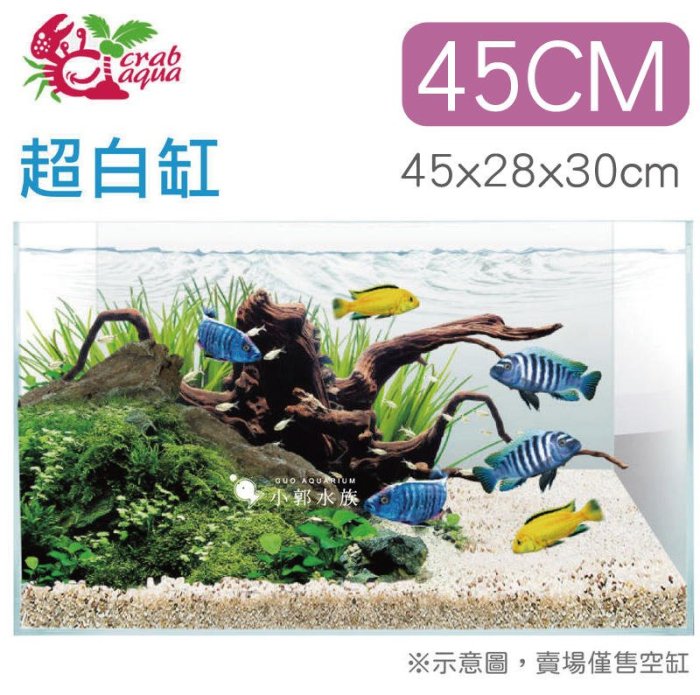 小郭水族-UP小螃蟹系列【超白魚缸45cm（45x28x30cm）1.5尺缸 】高透明度 魚缸 玻璃缸 超白缸