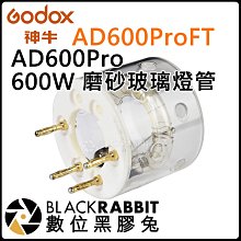 數位黑膠兔【 神牛 GODOX AD600ProFT AD600Pro 600W 磨砂 玻璃燈管 】補光燈 控光 攝影燈
