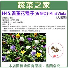 【蔬菜之家滿額免運】大包裝H45.香堇花種子2克(約1600顆)花卉種子  ※請選擇超商或宅配運送※