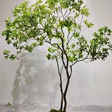 仿真樹 假樹 仿真植物 假植物仿真馬醉木高端植物櫥窗造景室內裝飾樹干景仿生綠植大型假樹景觀