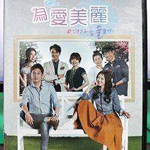 影音大批發-S27-025-正版DVD-韓劇【為愛美麗／共8片40集】-金廷恩 宋昌義 夏熙羅(直購價)