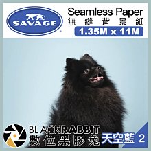 數位黑膠兔【 美國 豹牌 Savage 天空藍 2 無縫背景紙 1.35M X 11M 】背景布 兒童 人像 廣告 寵物