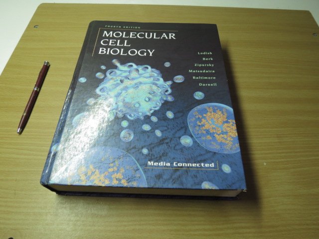 Molecular Cell Biology》ISBN:071673706X│W.H.Freeman & Co Ltd