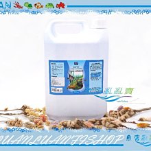 【魚店亂亂賣】理康Likon除氯氨水質穩定劑4000ml水質安定劑4L(換水.設缸)