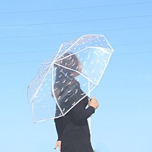 ＳｅｙｅＳ zakka日系清新透明系海鷗/鯨魚/紅鶴透明自動摺疊傘