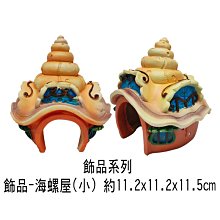 微笑的魚水族☆【海螺屋(小)】波麗纖維製品，造型精美漂亮