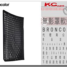 凱西影視器材【BRONCOLOR 無影罩軟蜂巢 for 30x180cm 公司貨】