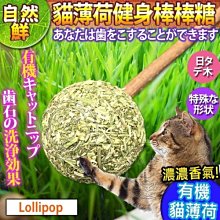 【🐱🐶培菓寵物48H出貨🐰🐹】自然鮮系列》貓薄荷健身棒棒糖貓玩具NF-021 特價88元