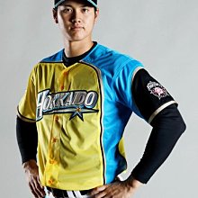 貳拾肆棒球--日本帶回日職棒日本火腿我愛北海道球衣/MIZUNO製作