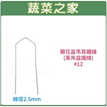 【蔬菜之家滿額免運005-D147】蘭花盆吊耳鐵線(黑吊盆鐵線)#12 (3.5吋~5吋蘭花盆適用)