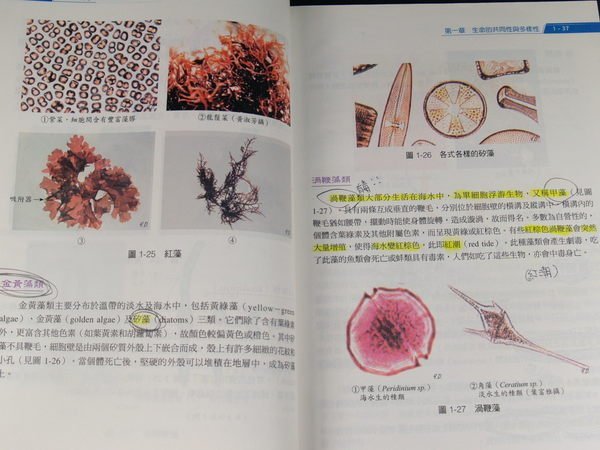 【懶得出門二手書】《簡明生物學(三版)》│永大書局出版│許錦龍 等│九成新(22Z15)