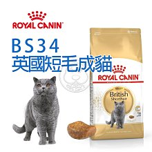 【🐱🐶培菓寵物48H出貨🐰🐹】FBN新皇家飼料《英國短毛成貓BS34配方》2kg/4kg/10kg