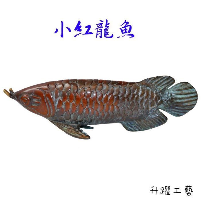 SY【升躍工藝】#145小紅龍魚 工藝品、藝術品、禮品、辦公室擺件、居家自由擺設、大廳擺飾、收藏、青銅、銅雕、招財、避邪