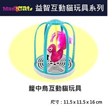 美國【MAD CAT】益智互動貓玩具系列 籠中鳥互動貓玩具 貓玩具 益智玩具 貓草 漏食