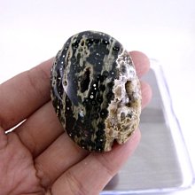 ☆寶峻晶石館☆特價品~馬達加斯加海洋碧玉Ocean Jasper 海洋瑪瑙 碎石 JPS-8