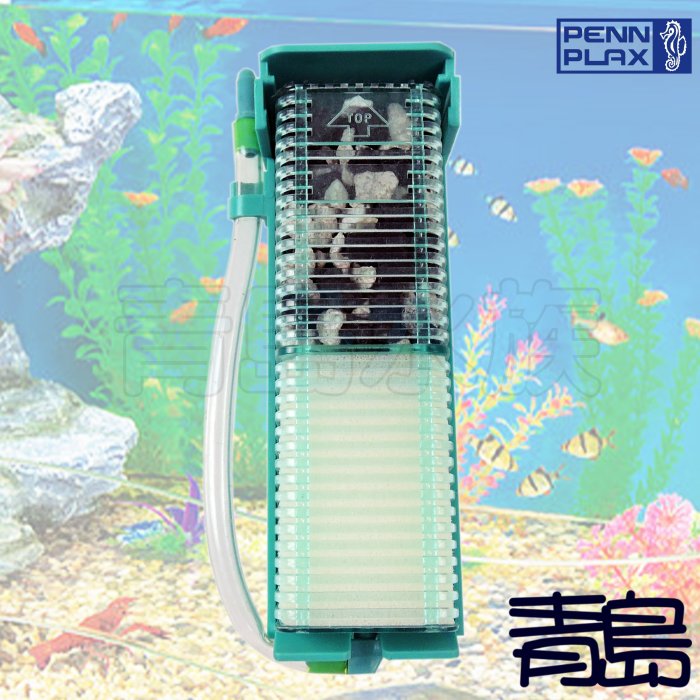Y。。。青島水族。。。SWF1美國PENN-PLAX龐貝-VENY'S-小型水中過濾器 掌心水妖精 鬥魚缸專用