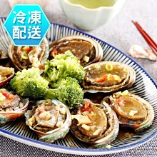 九孔鮑魚1Kg 燒烤必備 冷凍配送 [CO51333] 健康本味