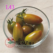 【野菜部屋~中包裝種子】條紋蕃茄種子120粒 , 圓型及橢長形 , 蕃茄味道濃郁 , 每包150元~