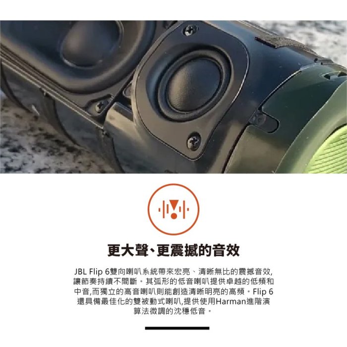 【台中愛拉風】JBL Flip 6 便攜型防水藍牙喇叭 IP67 更大聲 更震撼