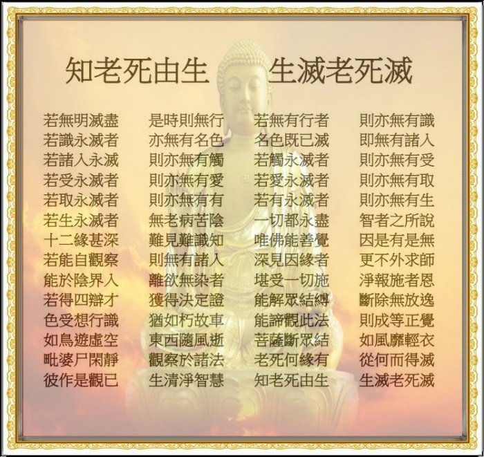 不死秘訣(本頁面僅供留言用)