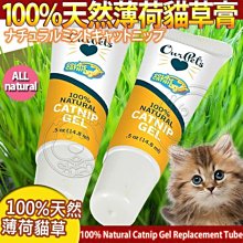 【🐱🐶培菓寵物48H出貨🐰🐹】美國CosmicCatnip宇宙貓 》100%天然薄荷貓草膏 特價139元