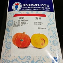 【野菜部屋~】K83 東昇南瓜種子2顆 ,早生品種 , 抗白粉病高 , 每包15元~