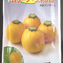 【野菜部屋~】Z15 黃色圓型櫛瓜種子2粒 , 果實漂亮黃色 , 每包20元 ~