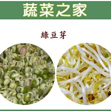 【蔬菜之家滿額免運00J10】綠豆芽種子450公克(賣場另有其他芽菜種子)※此商品運費請選宅配※