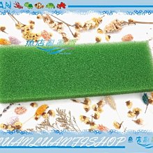 【魚店亂亂賣】LUANFISHOP綠色厚培菌多孔生化棉-長(36×12×3.5cm)上部滴流、上部過濾槽