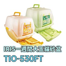 ☆寵物王子☆ 日本 IRIS TIO-530FT 一週間大玉貓砂盆 貓便盆 綠/橙 顏色隨機出貨