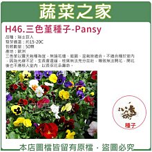 【蔬菜之家滿額免運】H46.三色堇種子50顆(無論花壇、庭園、盆栽皆適合。不適合種於室內.花卉種子)