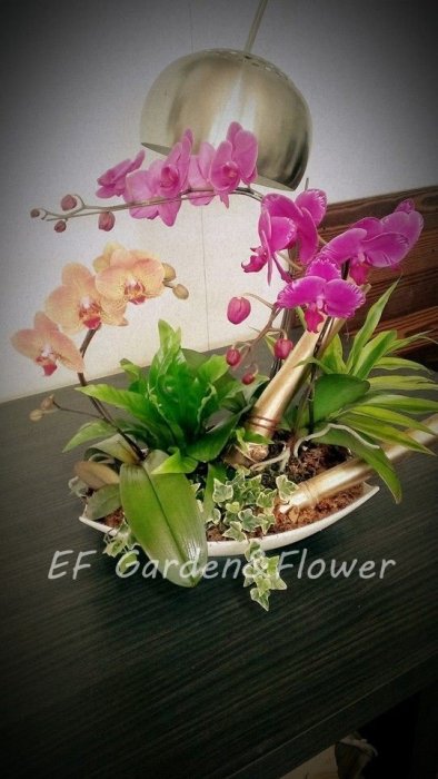 【EF Garden&Flower】混搭蘭花設計 桃園中壢花店/全省宅配