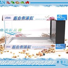 【魚店亂亂賣】ISTA 1.5尺側濾超白玻璃缸45cm(側邊過濾)45*25*25cm(含馬達+玻璃上蓋)台灣伊士達