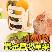 【🐱🐶培菓寵物48H出貨🐰🐹】CARNO 卡諾 小動物鬱金香牧草架 20.7X23.2X26.9CM 兔子 牧草