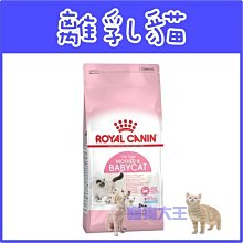 **貓狗大王**法國皇家 BC34《離乳貓配方》 2kg