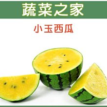 【蔬菜之家滿額免運】I02.小玉西瓜種子3顆(新冠品種.皮色綠色底子青黑色條斑,肉色晶黃,品質極佳.蔬菜種子)