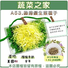 【蔬菜之家滿額免運】A53.綠捲鬚生菜種子1.2克(約800顆) 蔬菜種子 園藝 生菜 綠捲鬚生菜 種子 菜種子 菜籽