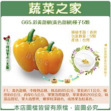 【蔬菜之家滿額免運】G65.彩黃甜椒(黃色甜椒)種子5顆(F1，黃色甜椒，中晚熟品種，株高約85公分，肉厚0.5公分)