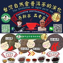 正思惟仁古茶閣-陳年普洱生熟茶的陳放轉化過程