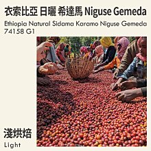 KaKaLove 咖啡 - 衣索比亞 日曬 希達馬 卡拉莫 Niguse Gemeda 74158 G1 0.5磅