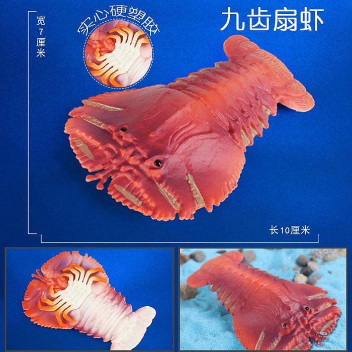 林暢模玩海洋生物九齒扇蝦模型琵琶蝦仿真蝦排兒童海底動物玩具