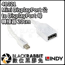 數位黑膠兔【LINDY林帝41021 MiniDisplayPort公 to DisplayPort母 轉接器20cm】