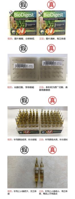 職人工具 水族用品  Bio Digest 法國 新款 50億 超級活性硝化菌  1盒(30支裝)