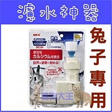 *貓狗大王*日本GEX《濾水神器-兔用防咬型》330g/個 兔適用